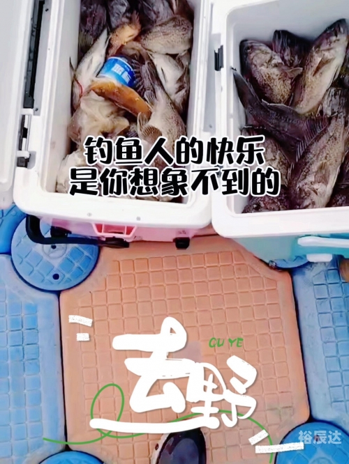 四海钓鱼在线直播四海钓鱼在线直播，探索钓鱼乐趣与互动交流