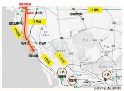 781MAP威久国际781MAP威久国际，引领国际商务新篇章