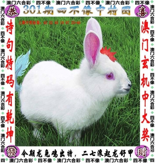 246天天好彩246天天好彩，把握幸运，把握未来-第3张图片
