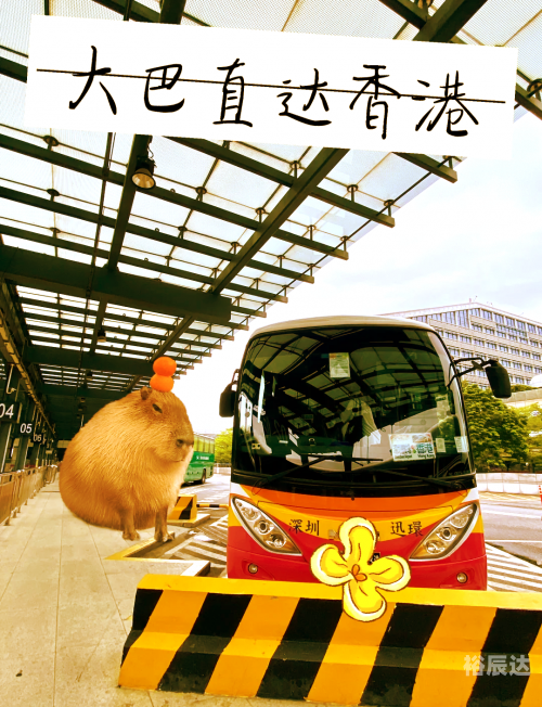 香港正版数码挂牌全揭秘