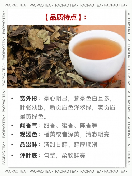 白茶最出名的是哪几种白茶最出名的几种