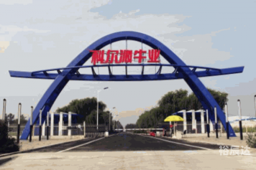 一起牛吧，探索牛业新天地-第1张图片