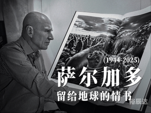 爱与希望吉他谱原版爱与希望，吉他谱解读-第1张图片