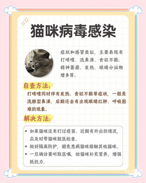 打喷嚏与闭眼睛的原理-第3张图片