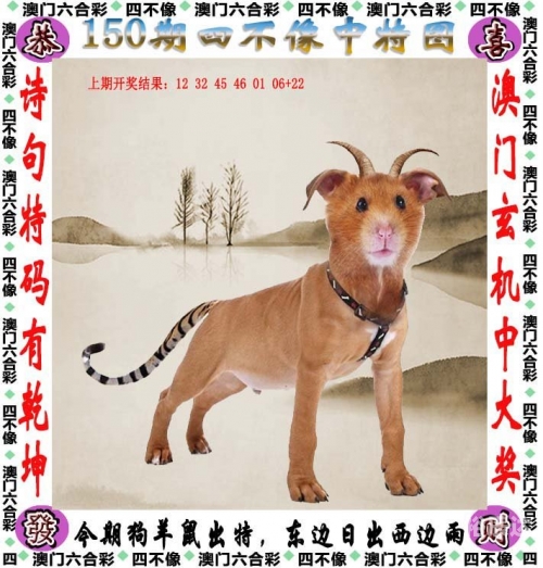 澳门2020全年正版资料概述-第1张图片
