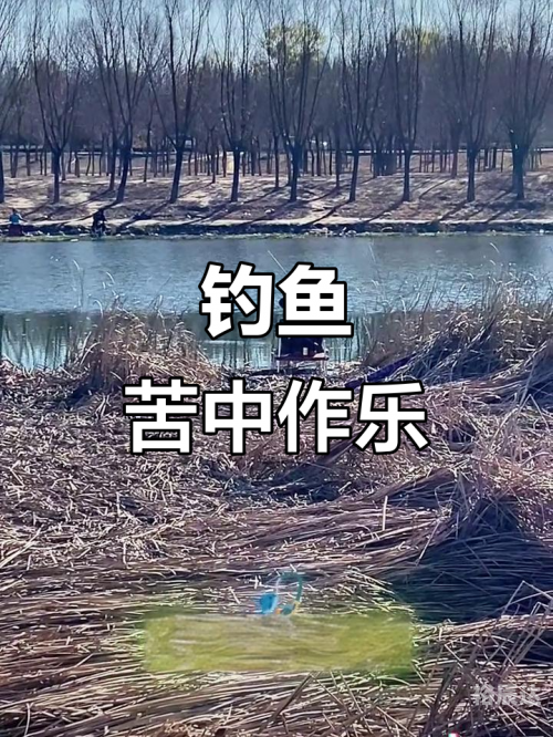 四海钓鱼在线直播四海钓鱼在线直播，探索钓鱼乐趣与互动