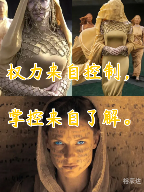 终极道终极道，探寻真理的智慧之路