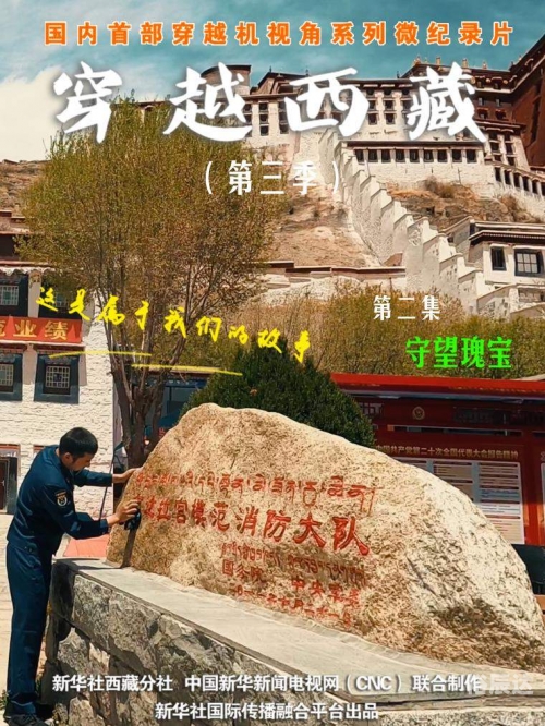 达娃次仁达娃次仁，高原上的智慧与坚韧