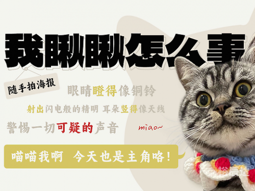 小鱼儿主页小鱼儿主页，探索无限可能-第2张图片