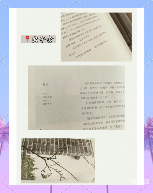 虫虫高手论坛虫虫高手论坛，探索网络社区的奇妙世界-第2张图片