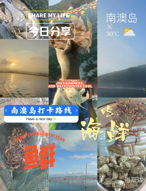 捕鱼89168澳门官方，体验澳门特色捕鱼文化-第2张图片