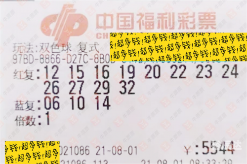 香港港六开奖结果今日开奖号码揭晓-第1张图片