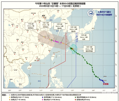 上海 台风上海遭遇台风，风雨中的城市之旅