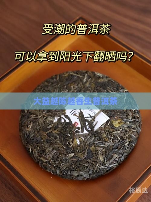 大益普洱茶功效大益普洱茶功效与作用-第1张图片