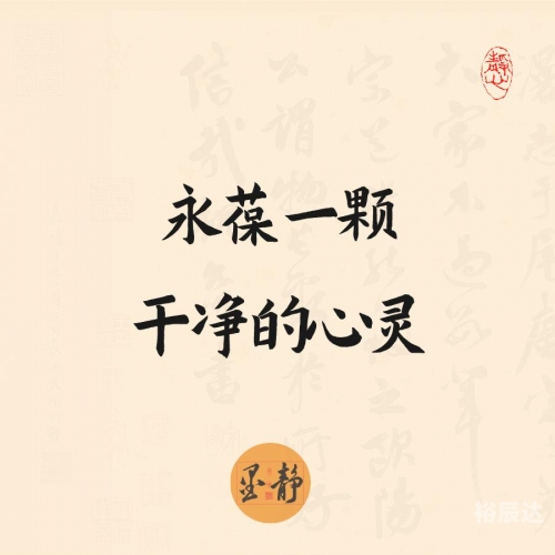 盈乐乐盈乐乐，快乐与智慧的融合-第3张图片