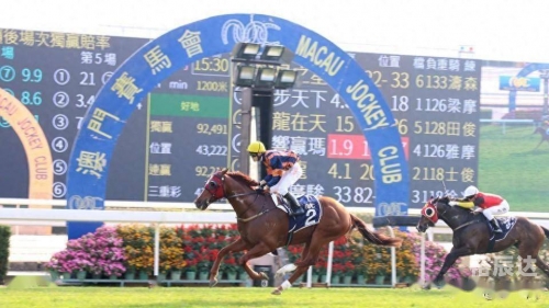 马会正版香港资料大全一小2021年马会正版香港资料大全