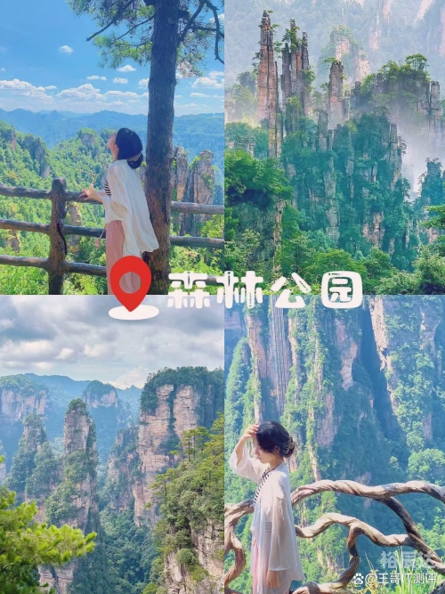 北京到张家界自驾游攻略