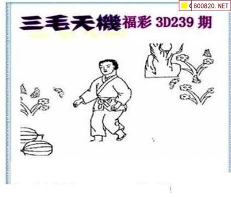 三毛图库3d三毛图库3D，探索数字艺术的新世界