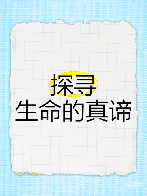 唯美论坛，探寻美的真谛