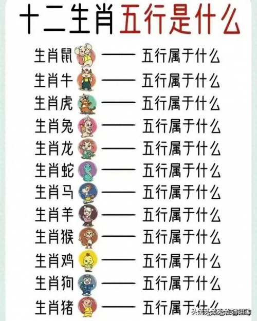 2024年12生肖49码图金木水火土2024年生肖49码图展望-第1张图片