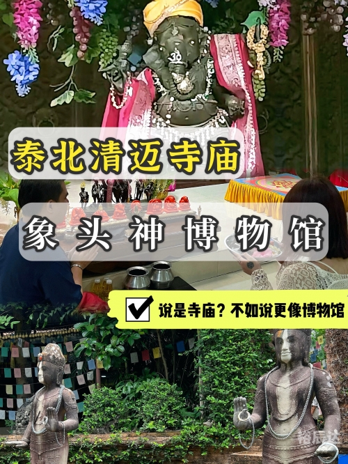 05050黄大仙救世网黄大仙救世网，探索网络资源中的神秘力量