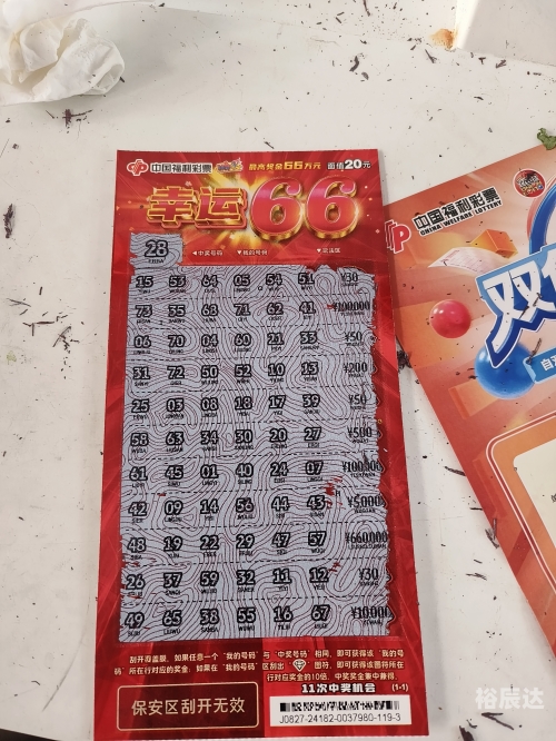 体育彩票中奖号码查询结果体育彩票中奖号码的神秘与惊喜