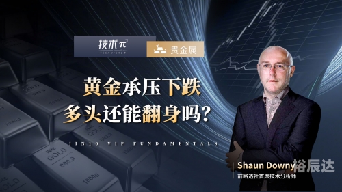 金十数据网，引领数据科技新篇章-第3张图片