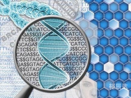 X77论坛，探索技术前沿的交流平台-第2张图片