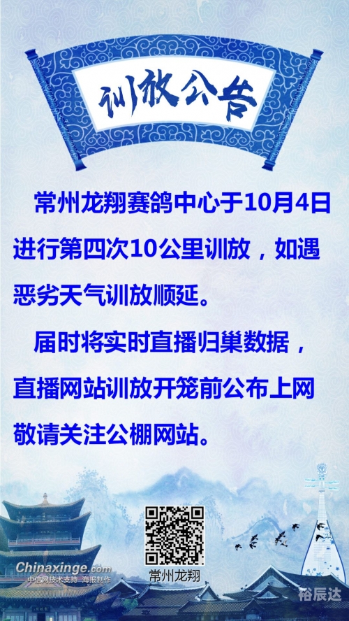 必赢比分赢够比分网，体育竞技的新视角