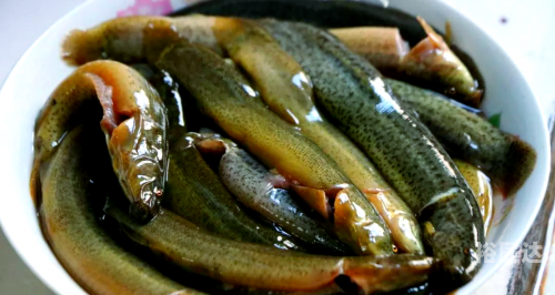 巢湖美食巢湖美食探秘