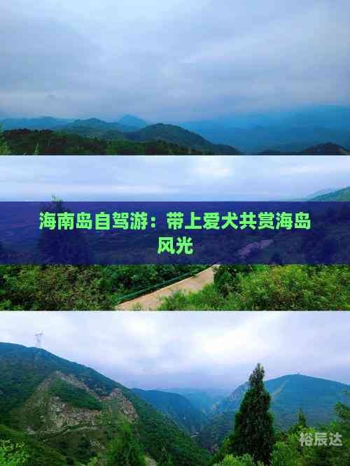 海南自驾游:3个小时挪了300米海南自驾游，3小时挪了300米，畅游海岛风光-第2张图片