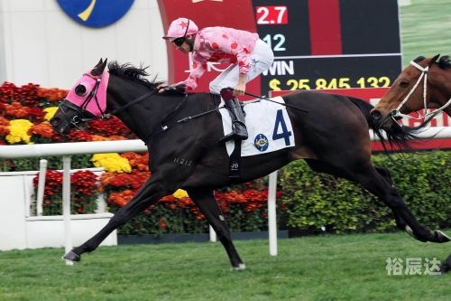 香港赛马会精选资料大全使用方法香港赛马会精选资料大全