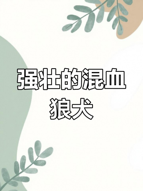 小狼狗心水论坛小狼狗心水论坛，探索犬类爱好者的乐园-第1张图片