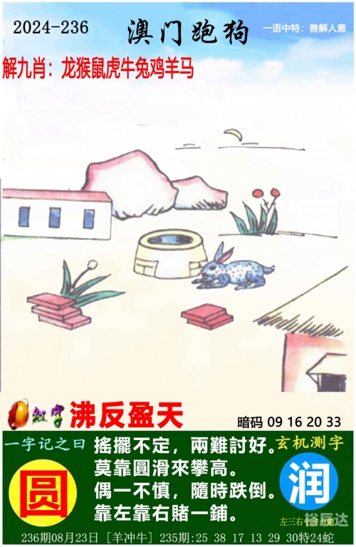 2024年香港今日开奖结果查询