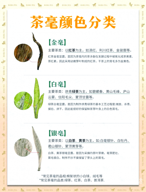 茶叶卫生标准与茶叶品质保障-第1张图片