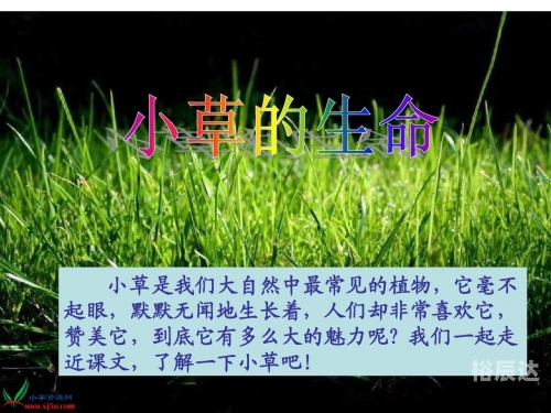 小草论坛小草论坛，绿色交流的家园