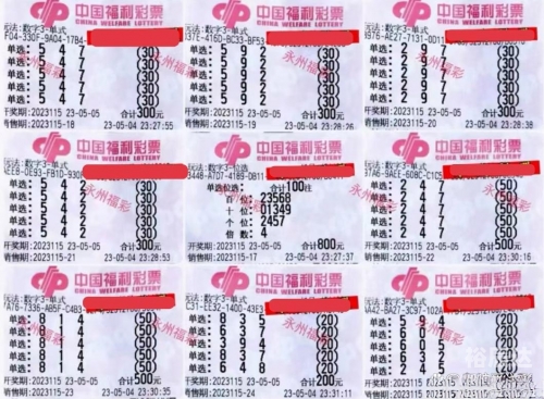 3d开奖结果查询全国3D开奖结果查询文章-第1张图片