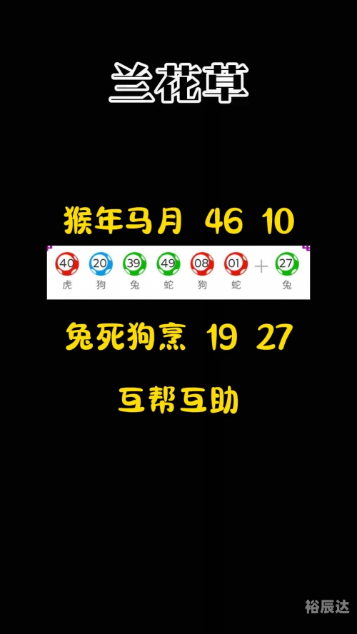 新奥历史开奖最新结果-第1张图片