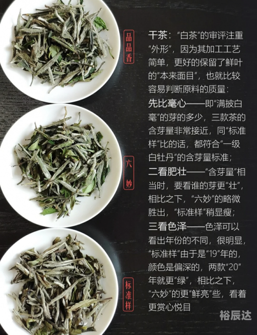 白茶最出名的是哪几种白茶最出名的几种