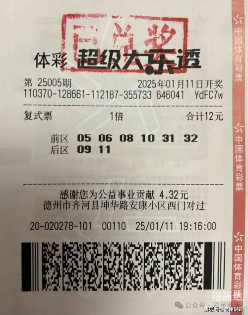 必赢彩票的网址必赢彩票网，彩票投注的新选择-第2张图片