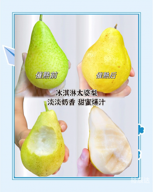 2020水果奶奶免费资料水果奶奶免费大全资料-第3张图片