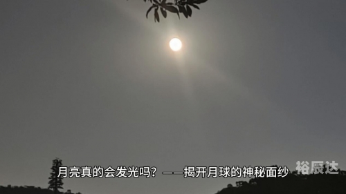 彩票程序，揭开神秘面纱