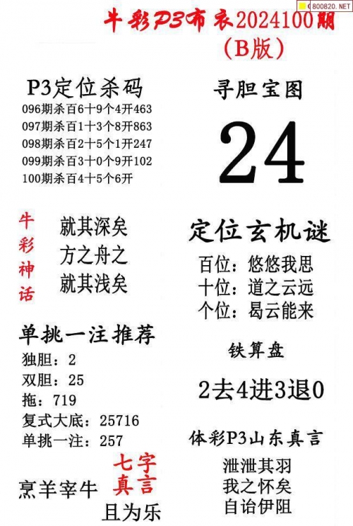 2024精华版布衣图全图解析-第3张图片