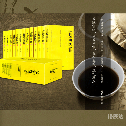 医道官 途医道官途顶点，探寻医道之路的巅峰-第2张图片