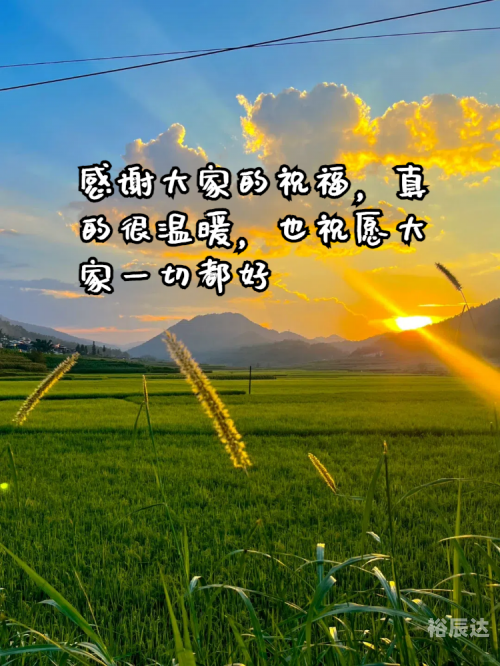 沈阳024聊天室，畅聊情感与生活的温馨港湾