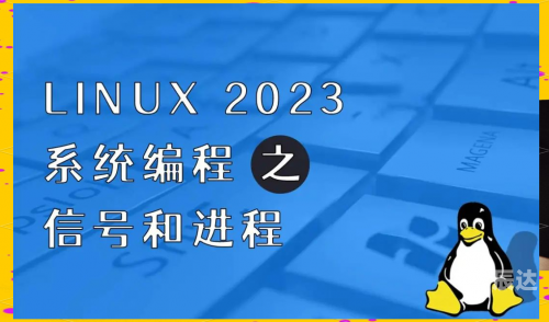 彩富网，数字时代的财富新天地