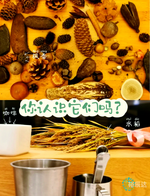 森林游戏，探索自然的奇妙世界