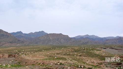 临武通天山风景图片临武通天报，新闻报道与地方动态
