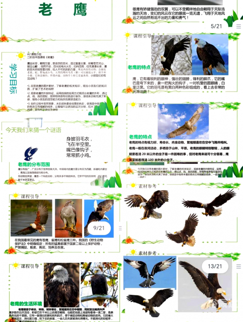 鹰击长空2鹰击长空2，探索天空的壮丽与挑战-第1张图片