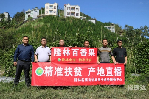特马资料最准2019特马资料最准2019，精准预测市场趋势
